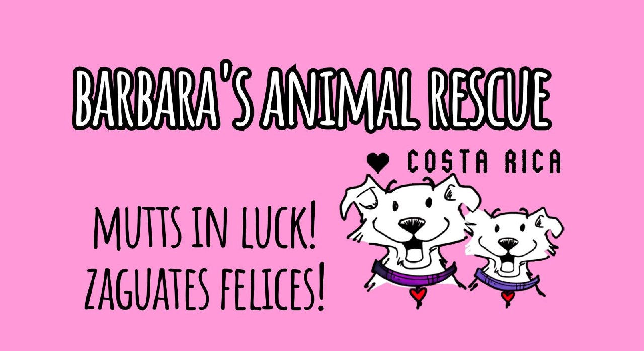 Barbara’s Animal Rescue Costa Rica logo